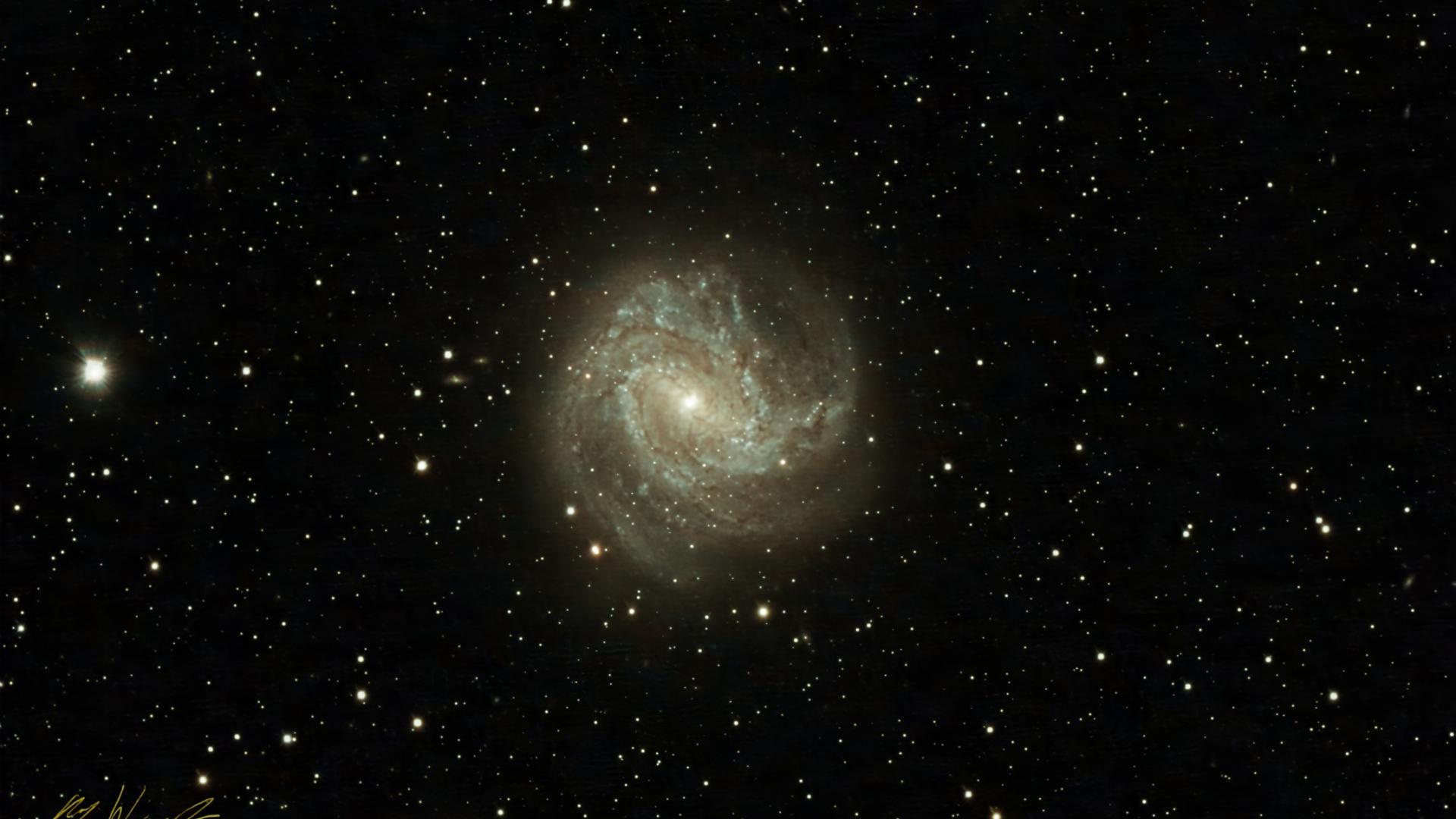 M83