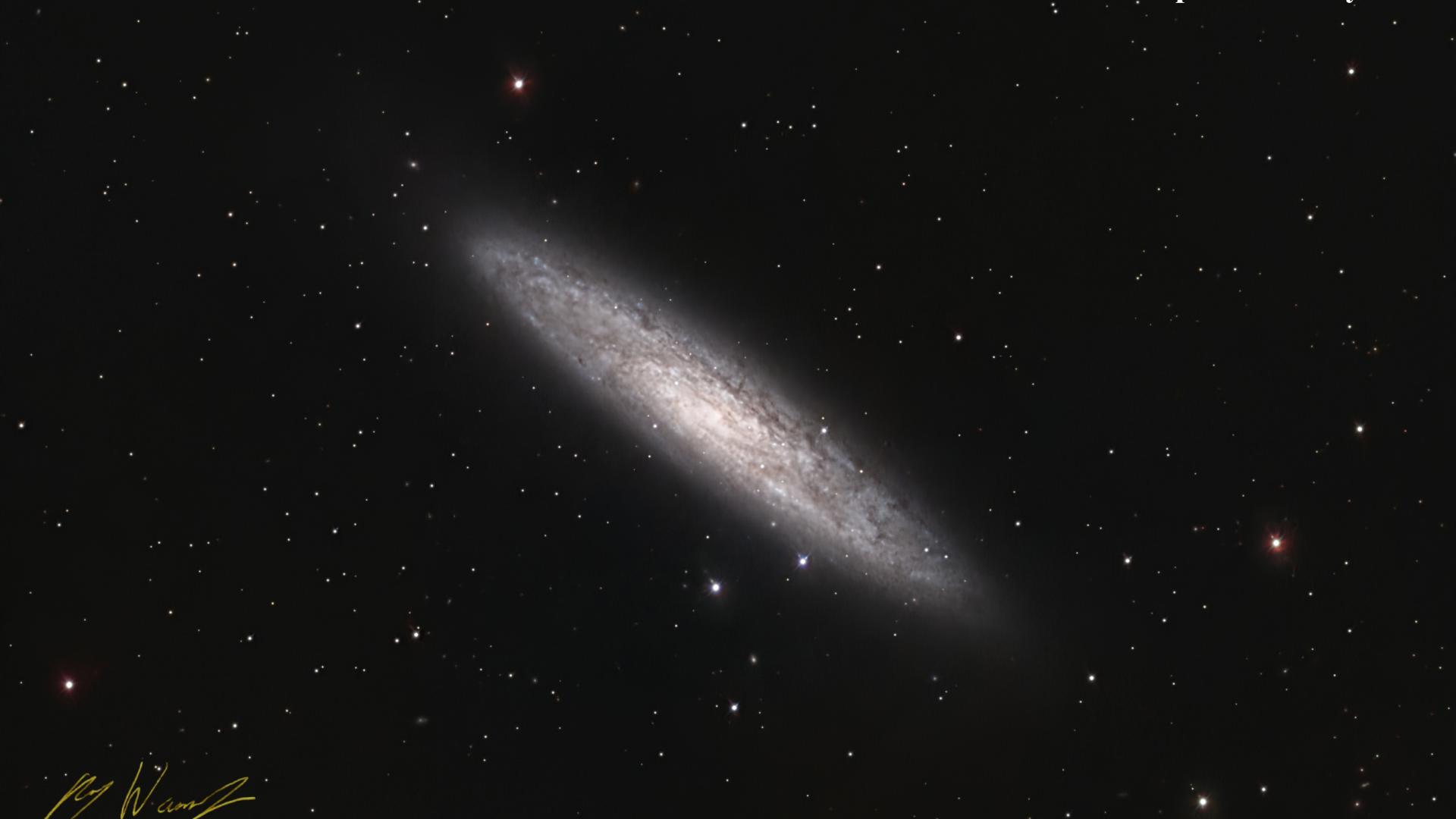 NGC253